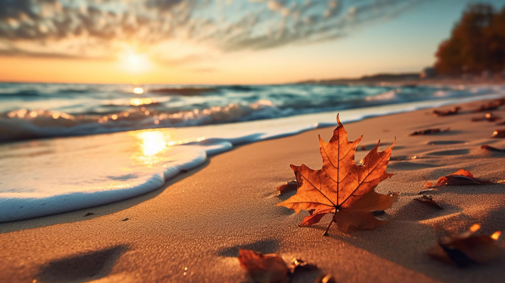 Autumn in Çeşme / İzmir